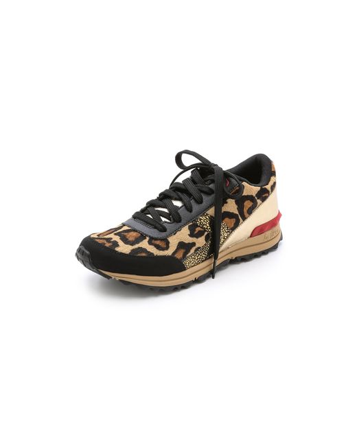 Sam Edelman Multicolor Dax Jogging Sneakers - Black/Gold Leopard