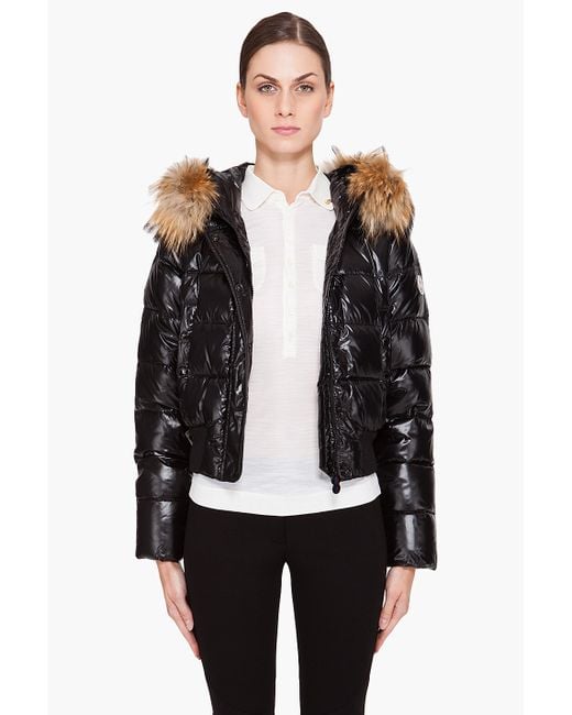 moncler quilted dogs jacket moncler quilted dogs jacket