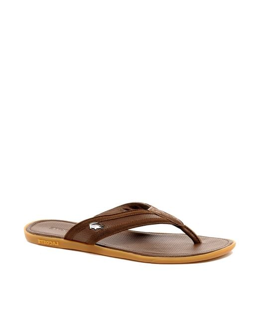 Lacoste Brown Carros Leather Sandals for men