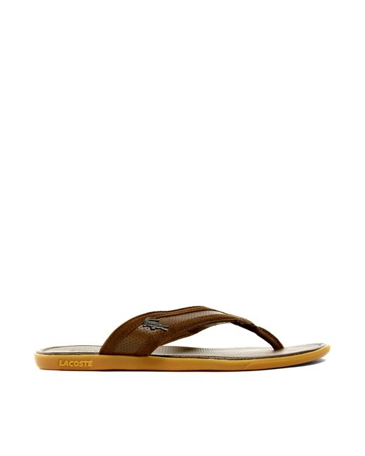 Lacoste Carros Leather Sandals in Brown for Men | Lyst