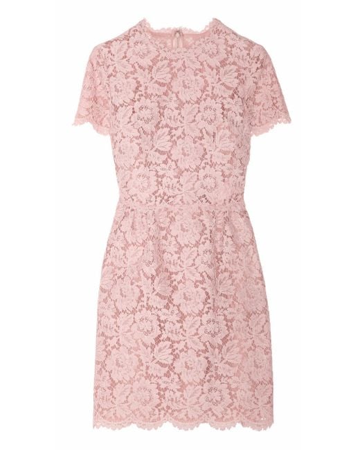 Valentino Cotton Blend Lace Mini Dress in Pink | Lyst