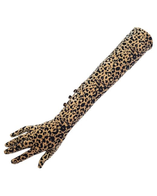 Black.co.uk Orange Long Leopard Print Gloves Description Delivery & Returns Reviews