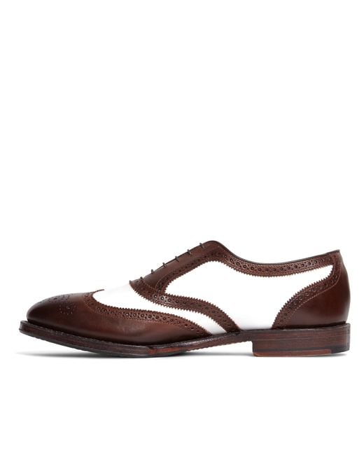 spectator wingtips