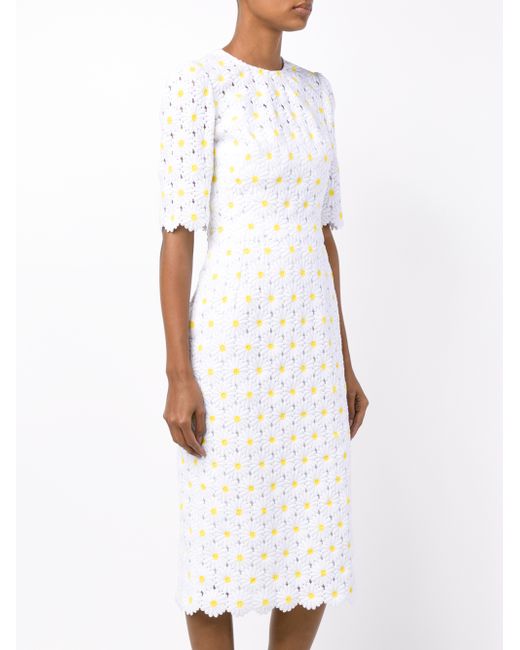 Dolce gabbana daisy dress hotsell