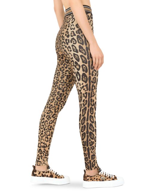 Dolce & Gabbana Metallic Leggings aus Spandex/Jersey mit Leopardenprint