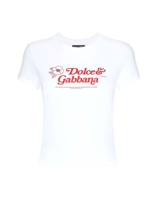 Dolce & Gabbana White Stretch-cotton Logo T-shirt