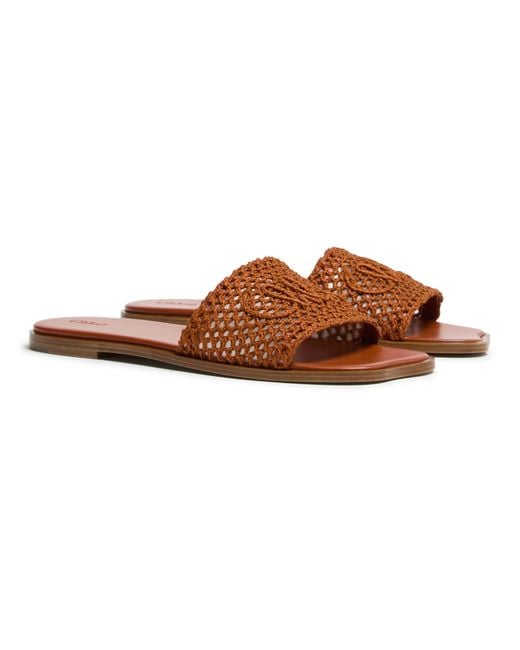 Mules Soleil Chloé en coloris Brown