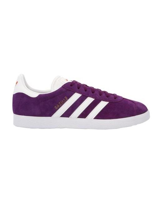 purple gazelles