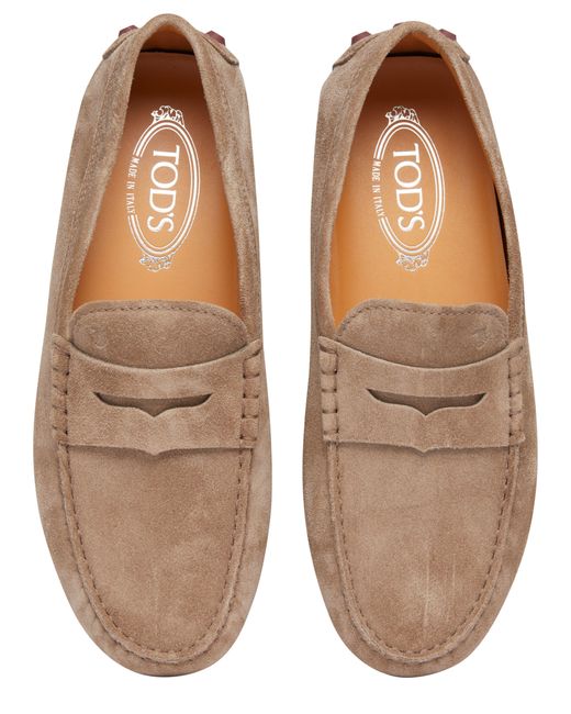 Tod's Brown Loafers