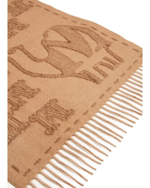 Écharpe Wsteddy Max Mara en coloris Brown