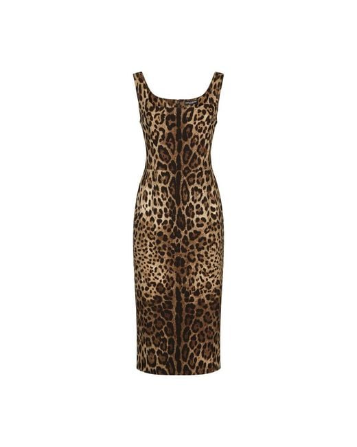 Dolce & Gabbana Brown Leopard-print Charmeuse Midi Dress