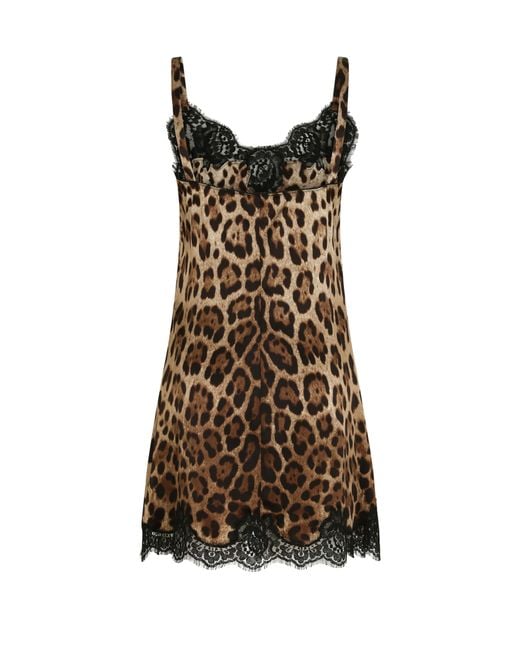 Dolce & Gabbana Brown Leopard-Print Satin Lingerie Slip With Lace Detailing