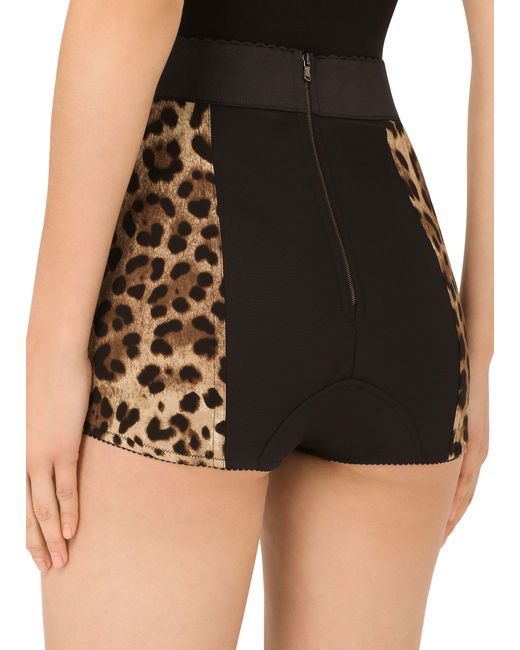 Dolce & Gabbana Brown High-waisted Charmeuse Panties With Leopard Print