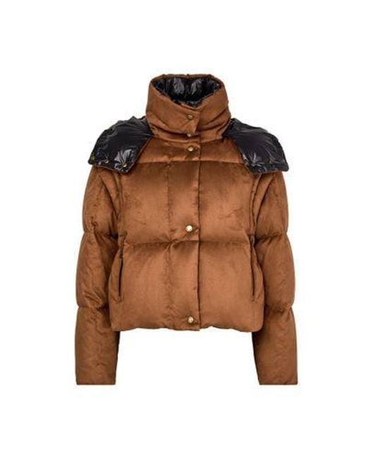 Moncler Brown Paterne Hooded Puffer Jacket