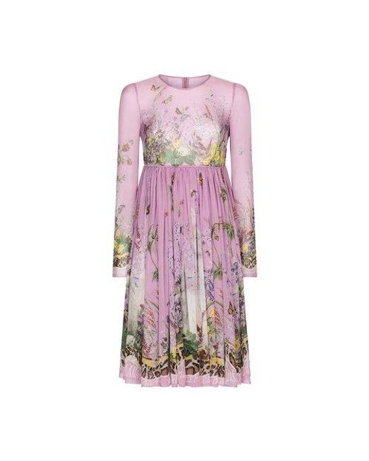 Dolce & Gabbana Silk Chiffon Midi Dress With Rabbit Print in Pink Lyst