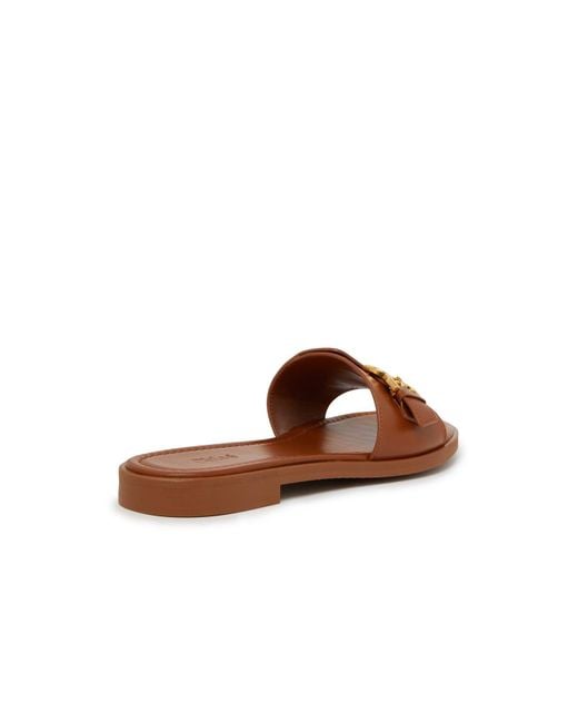 Chloé Marcie Flat Sandals in Brown | Lyst