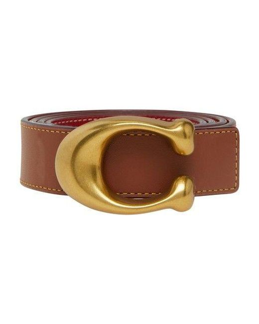 signature buckle belt coach