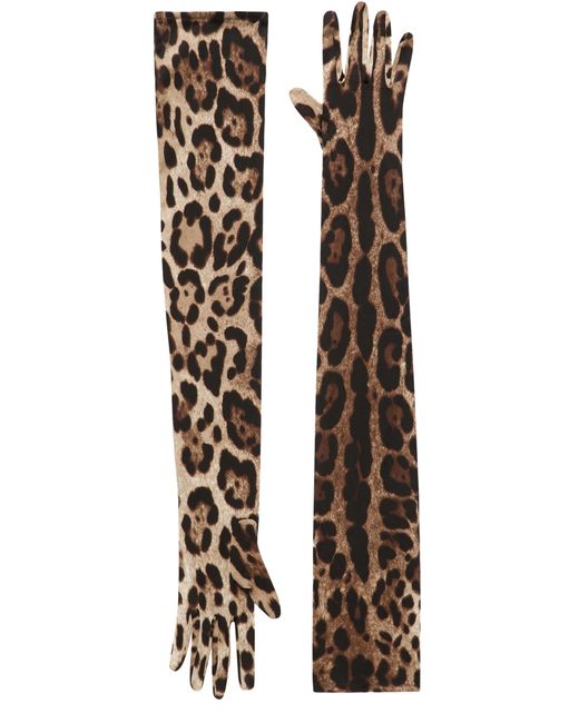 Gants longs en satin extensible à imprimé léopard Dolce & Gabbana en coloris White