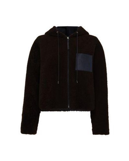 Loewe Black Hooded Jacket In Shearling