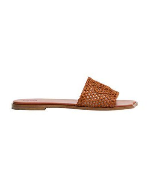Mules Soleil Chloé en coloris Brown