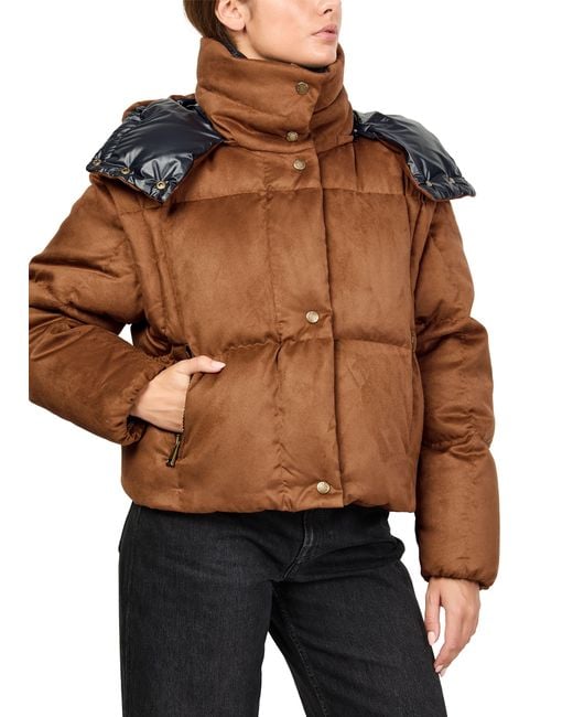 Moncler Brown Paterne Hooded Puffer Jacket