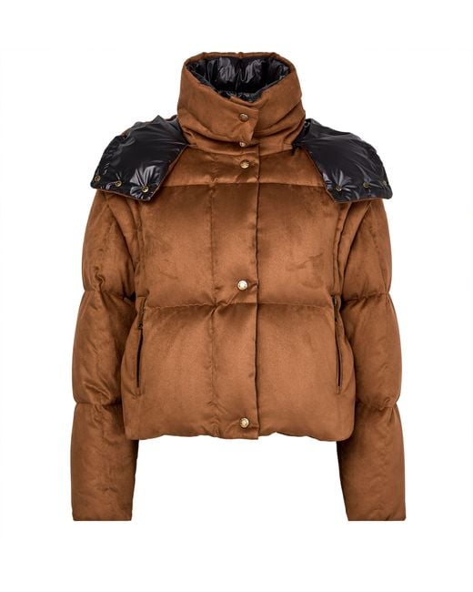 Moncler Brown Paterne Hooded Puffer Jacket