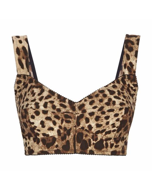 Dolce & Gabbana Brown Short Bustier Top In Charmeuse With Leopard Print