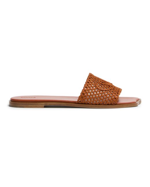 Mules Soleil Chloé en coloris Brown