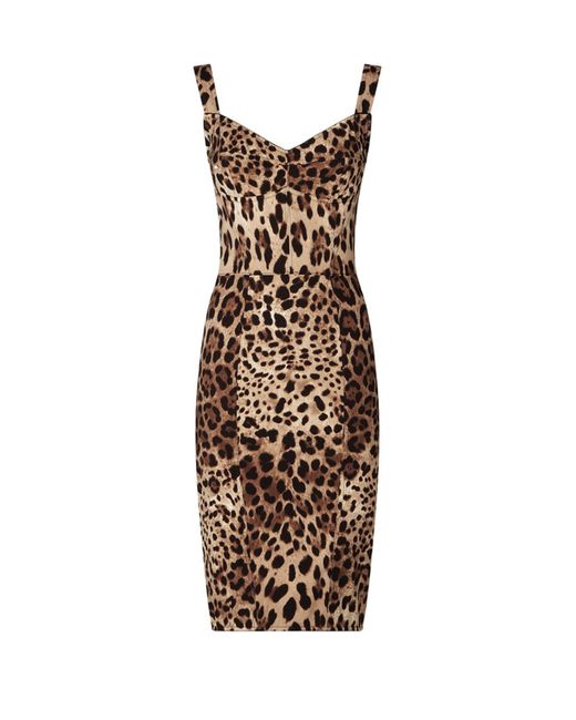 Dolce & Gabbana Brown Leopard-Print Cady Corset-Style Midi Dress