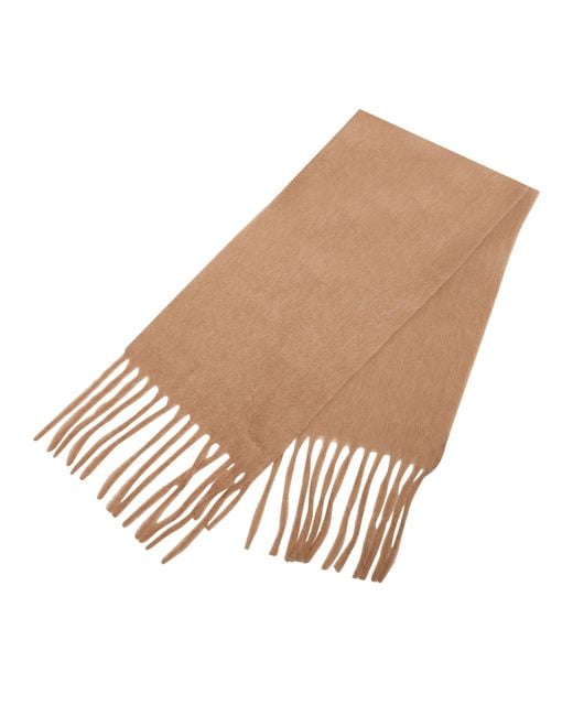 Max Mara Brown Schal Osso