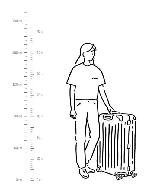 Rimowa Green Original Check-In L Luggage