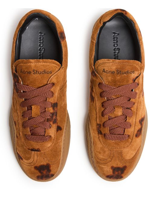Acne Brown Lace-Up Sneakers