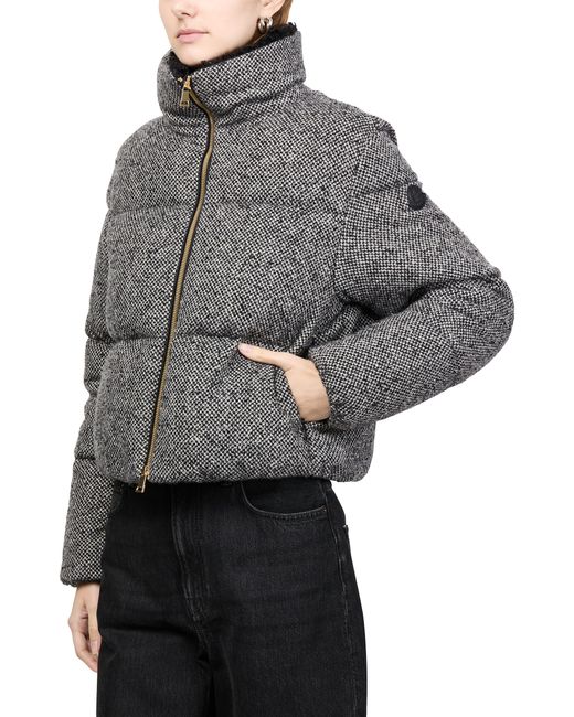 Moncler Gray Brezesse Down Jacket
