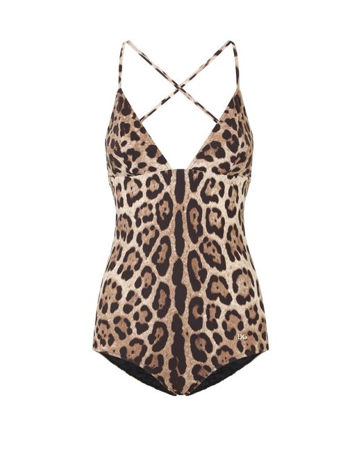 Dolce & Gabbana Brown Einteiliger Badeanzug mit Leopardenprint