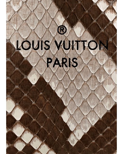 Sac Surène BB Louis Vuitton en coloris Brown