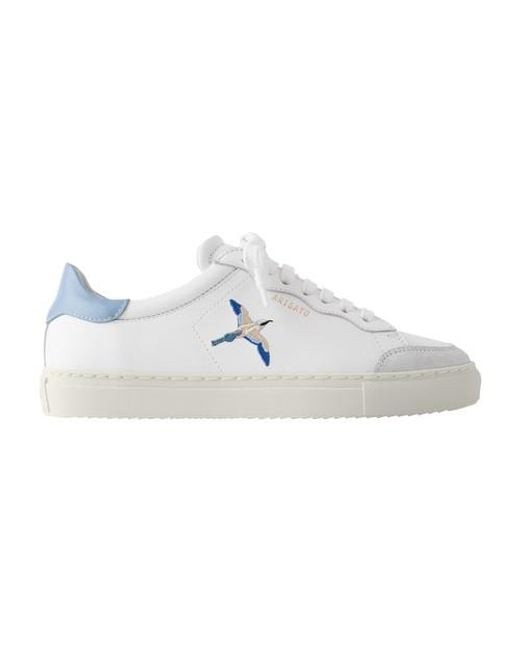 Axel arigato hotsell bird trainers