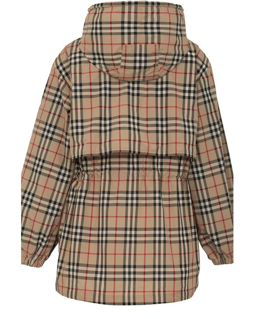 multicolor windbreaker