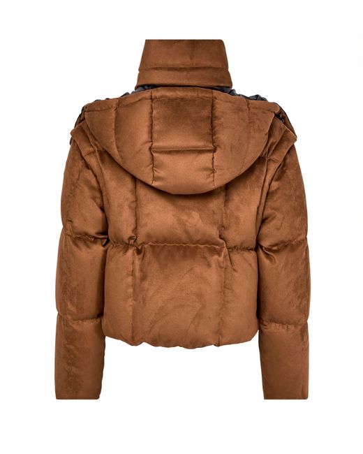 Moncler Brown Paterne Hooded Puffer Jacket