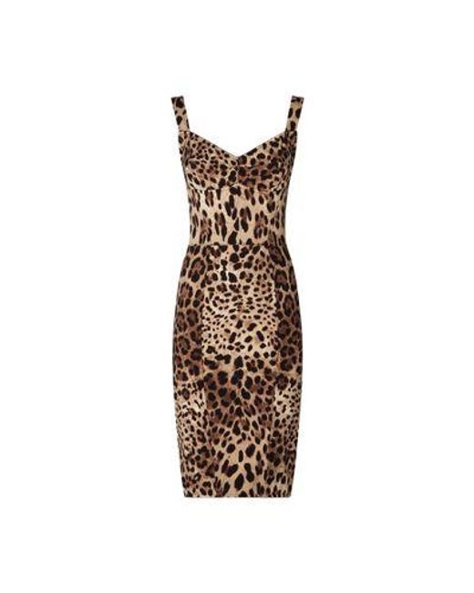 Dolce & Gabbana Natural Leopard-Print Cady Corset-Style Midi Dress