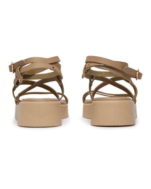Ancient Greek Sandals Brown Aristea Sandals