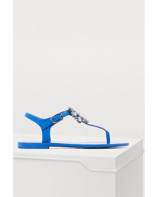 Dolce & Gabbana Blue Jelly Sandals
