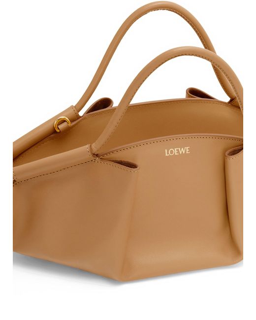 Loewe Brown Small Paseo Bag