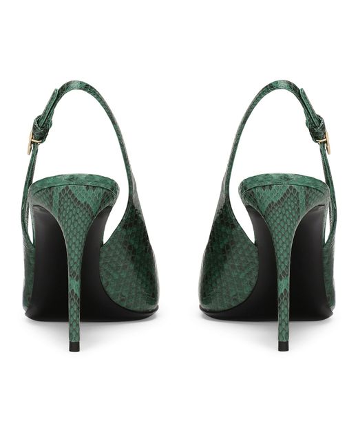 Dolce & Gabbana Green Slingback-Pumps aus Pythonleder