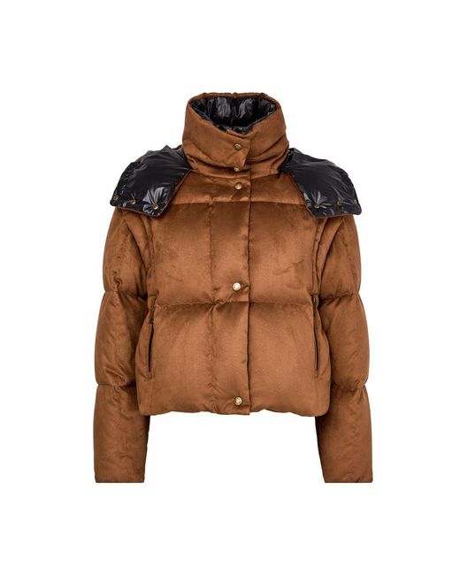 Moncler Brown Paterne Hooded Puffer Jacket