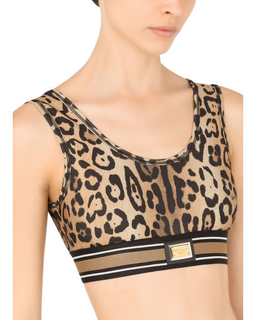 Dolce & Gabbana Multicolor Leopard-print Spandex/jersey Crop Top