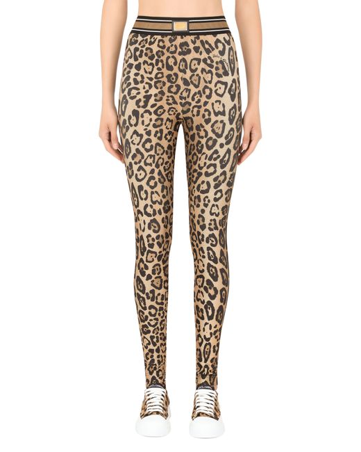 Dolce & Gabbana Metallic Leopard-print Spandex/jersey leggings