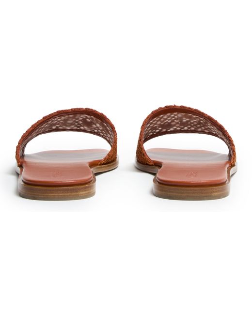 Mules Soleil Chloé en coloris Brown