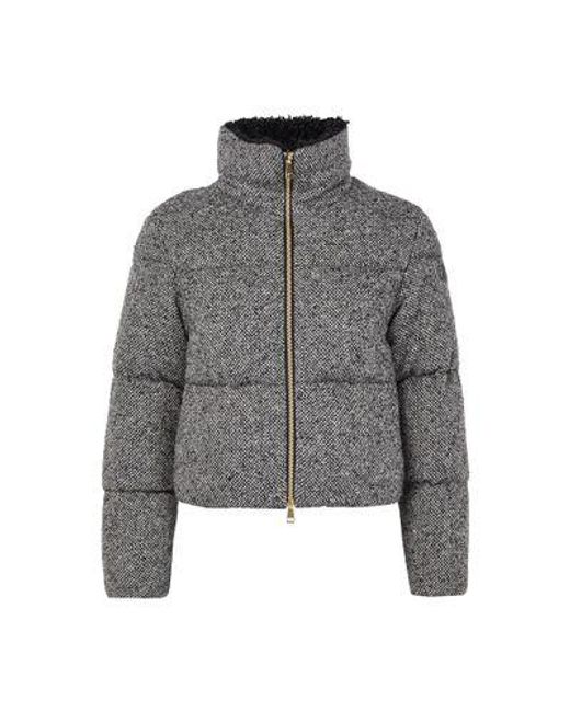 Moncler Gray Brezesse Down Jacket