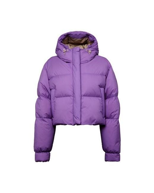 CORDOVA Purple Puffer Jacket Aomori