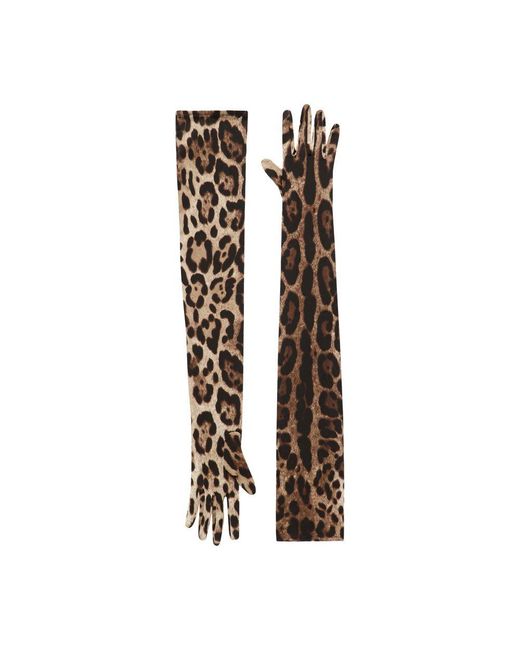 Dolce & Gabbana Multicolor Long Leo-print Stretch Satin Gloves